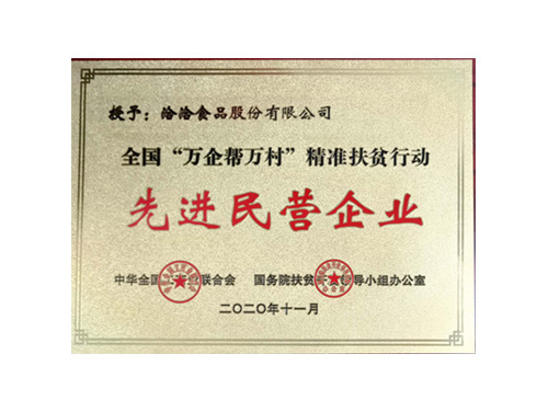 全国万企帮万村精准扶贫行动先进民营企业