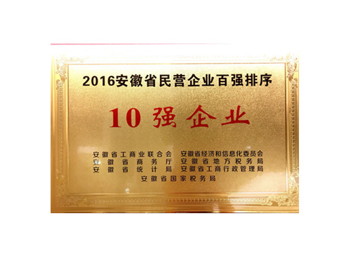 2016年安徽省民营企业百强100强排序10强企业