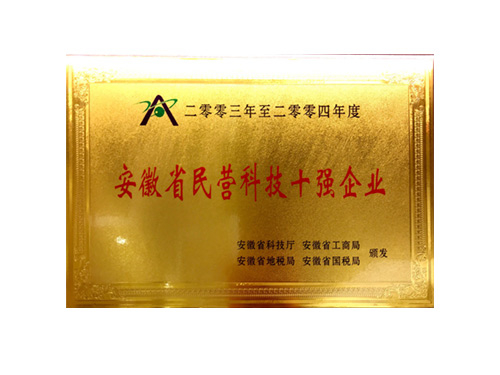 二零零三至二零零四年度安徽省民营科技十强企业