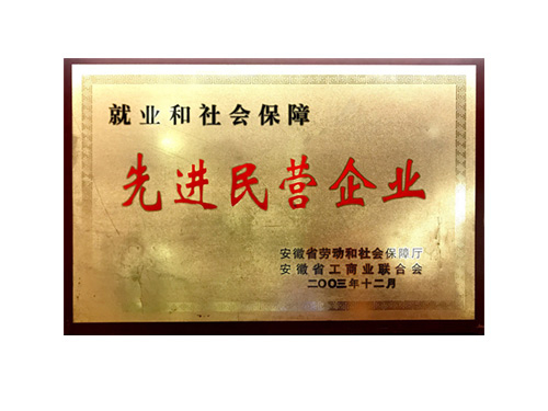 就业和社会保障先进民营企业