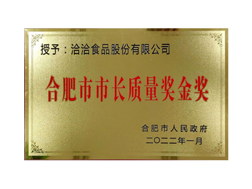 合肥市市长质量奖金奖